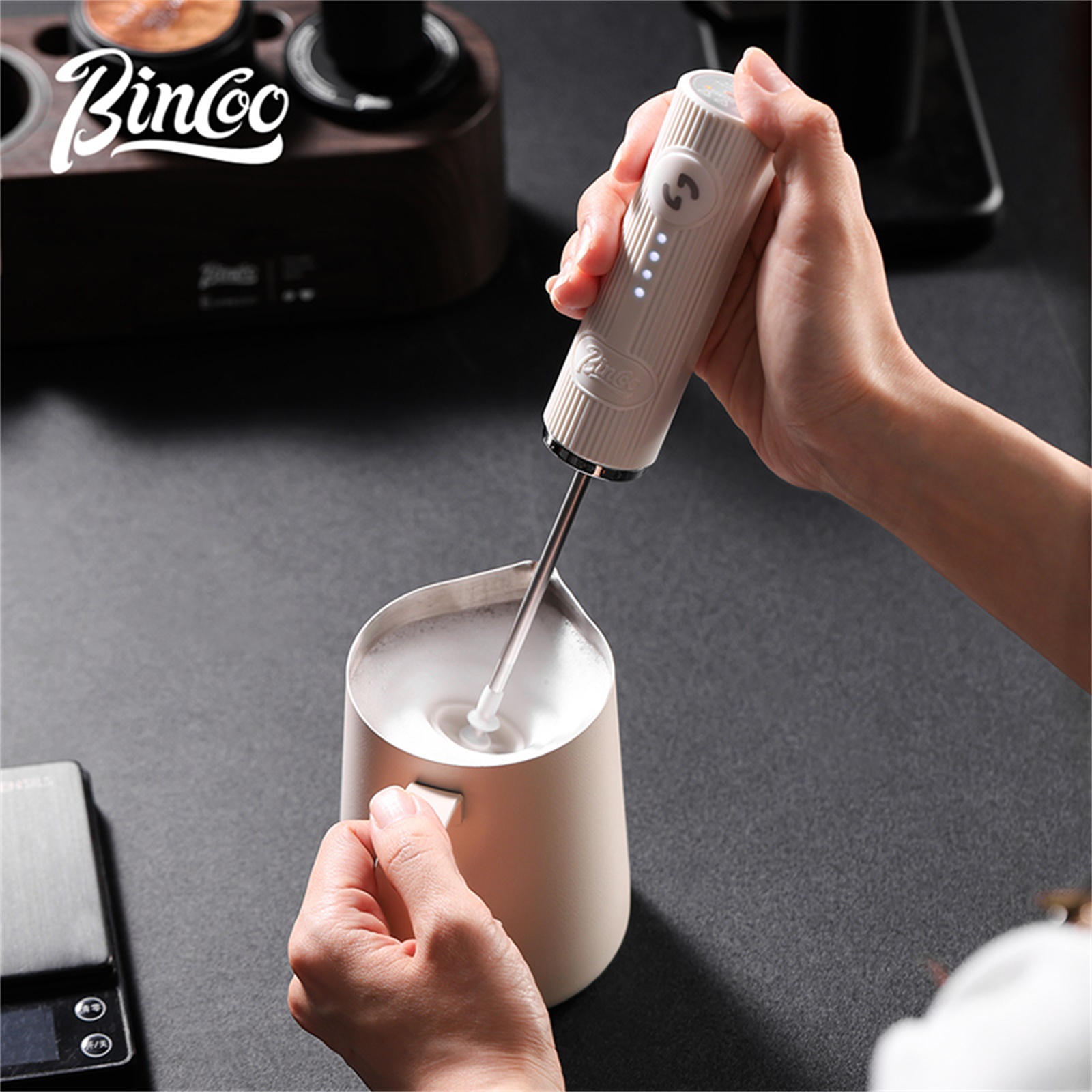 Bincoo Professional Electric M - Home Barista ulasan dan harga